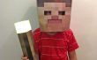 Minecraft maskeren - gemakkelijk, snel en goedkoop
