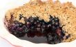 Gemakkelijk Blueberry Crumble | Paleo vriendelijke