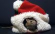 Santa Rat hoeden