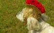 Romeinse Gladiator helm voor honden