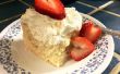 * BEDRIEGER van Tres Leches Cake: Perfect voor uw liefje