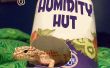 Gerecycled Gecko vochtigheid Hut