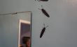 Persoonlijke Bug Stickers met Silhouette Portrait