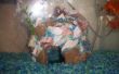 CD spindel Aquarium grot