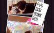 Bunk Bed van de hond van de PVC