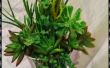 Levende boeket-groeien planten in vaas