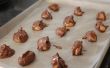 Chocolade bedekt Peanut Butter ballen