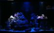 Aquarium Moonlight