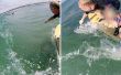 Bouwen van een GoPro Surf Pole