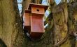 Frambozen met cam in birdhouse