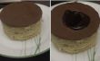 Lava Disc Cake in magnetron