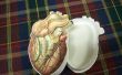 Anatomische Heart-shaped Box (voor uw unieke Valentijn.) 