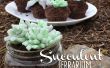 Eetbare succulente Terrarium Cupcakes! 