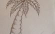 Hoe teken je een palmboom