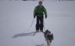 Hoe Ski Jour met uw hond