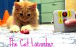 De kat Launcher - energetische Cat's Workout Toy or Just de eigenaar van een lui