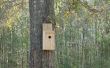 De ultieme ongediertebestrijding - een eenvoudige vogel huis! 