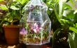 Stained Glass Terrarium: Een weekend Project