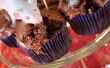 Rat besmet Cupcakes