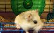 De houwer van de hamster: Zwijgen het lawaaierige wiel - met Recycling! 