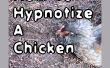 Hoe te hypnotiseren een kip