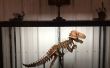 Draad gebonden plaatwerk dinosaurus skeletten
