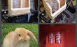 Bunny Rabbit hydratatie Station gemaakt van schroot hout