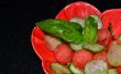 Watermeloen & komkommer salade w / Instant basilicum infusie