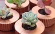 Cupcake betonnen plantenbakken