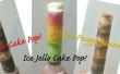 DIY Ice Cake Push Pops! Heerlijke variaties! 