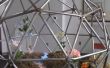 Steampunk geodetische Terrarium