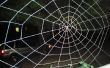 Halloween spiderweb