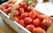 Canning tomaten = zomer al lang jaar! 