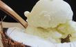 Zuivel-gratis-ijs met kokosmelk maken