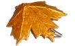 Maple Leaf hanger (papier)