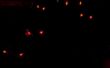 Super Spooky Evil LED ogen van Doom met behulp van atTiny85 en Arduino IDE