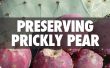 Behoud van Prickly Pear