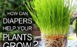 Luiers Help die uw planten groeien! 