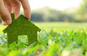 Groene Trends: 8 Tips voor een meer Eco-vriendelijk huis