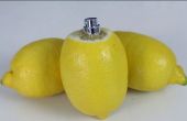 Hoe maak je een citroen en limoen Citrus Spuittoestellen
