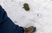 Slechte man´s ikea sneeuwschoenen