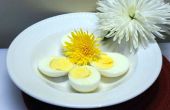 Oplossen van problemen en Tips voor gekookte eieren