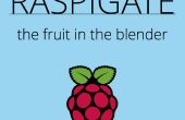 De Opener van de poort van de Raspberry Pi