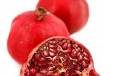 Bloedend kunst (pomagranate)