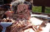 Varkensvlees trok op een Weber waterkoker grill