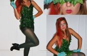Poison Ivy kostuum
