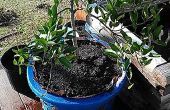 DIY Air Pruning Pot (Large Pot)