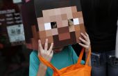 Hoe een geweldige Minecraft verjaardag feestje voor uw kind