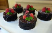 Hoe maak je Mini frambozen chocoladecake | Josh Pan