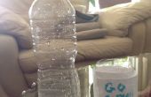 Hoe maak je een Pot Plant uit een fles Water
